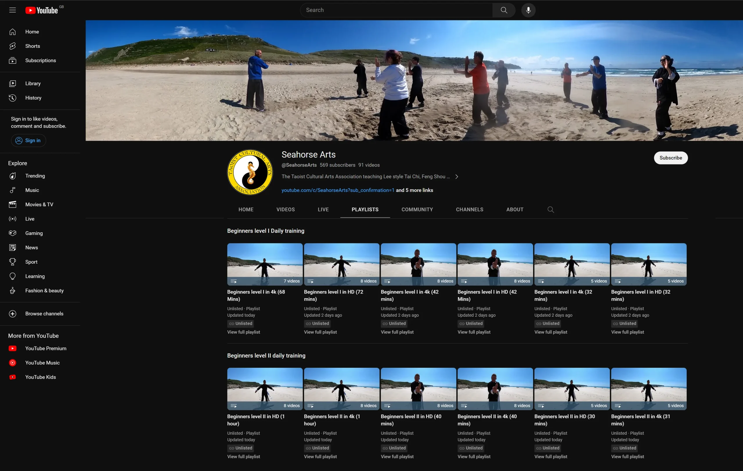 Online Tai Chi